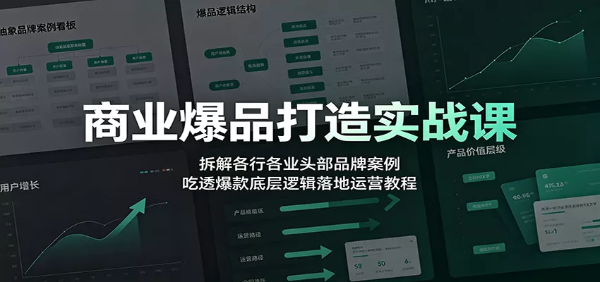 商业爆品打造实战课:拆解各行各业头部品牌案例,吃透爆款底层逻辑落地运营教程这是一个演示站这是一个演示站